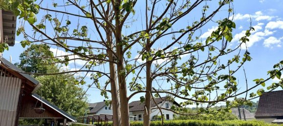 6 rooms Land in Schlusslberg, Austria No. 204329 2