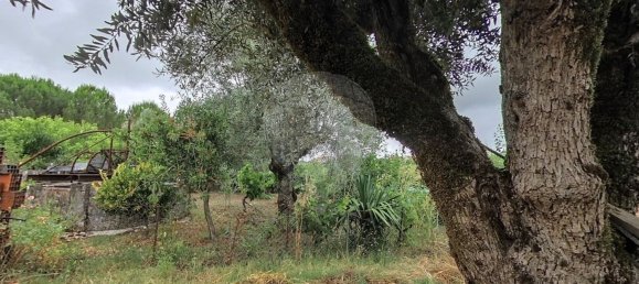 6 bedrooms House in Tomar, Portugal No. 188713 18