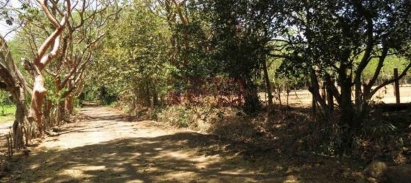  قطعة أرض في Alajuela, Costa Rica رقم 1671 3