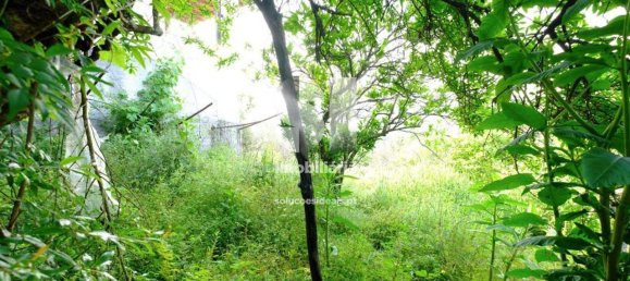 Дом с 2 спальнями в Вила Нова ди Пояриш, Португалия № 161797 4