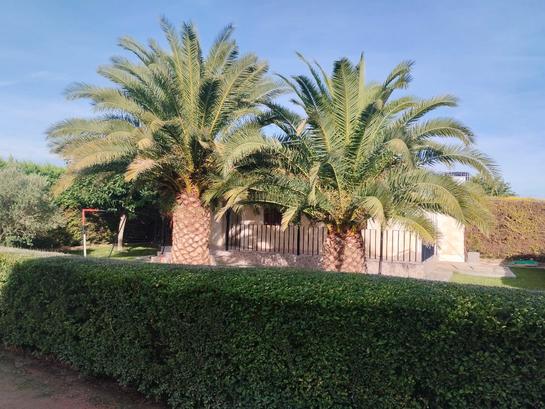 Grundstück in Chartered Community of Navarre, Spain 4000m², Nr. 162387