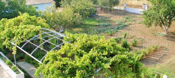 4 bedrooms Commercial property in Chalkidiki, Greece No. 6353 17