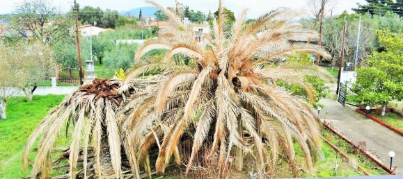 4 bedrooms Commercial property in Chalkidiki, Greece No. 6353 4