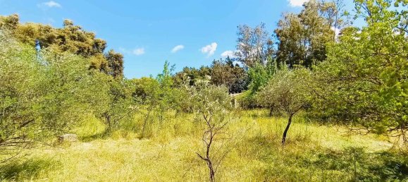 4غرفة منزل في Berchidda, Italy رقم 17583 10