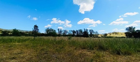 4غرفة منزل في Berchidda, Italy رقم 17583 13