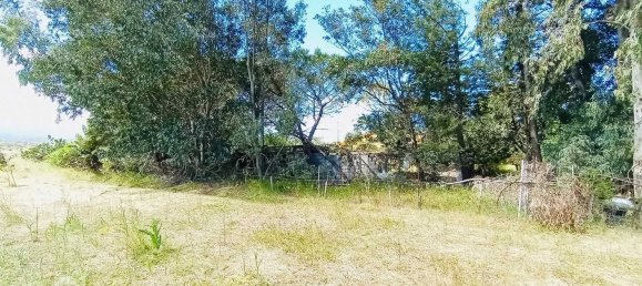 4غرفة منزل في Berchidda, Italy رقم 17583 12