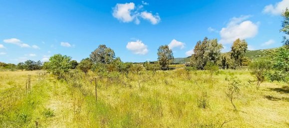 4غرفة منزل في Berchidda, Italy رقم 17583 11