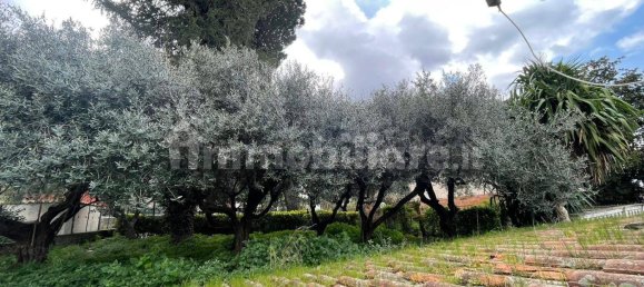 3 غرف نوم فيلا في Palestrina, Italy رقم 112483 42