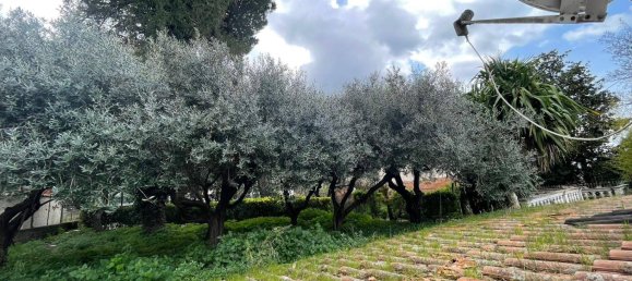 3 غرف نوم فيلا في Palestrina, Italy رقم 112483 41