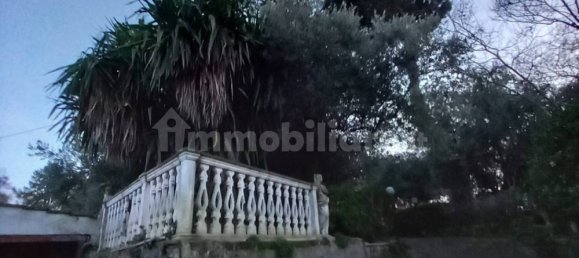 3 غرف نوم فيلا في Palestrina, Italy رقم 112483 2