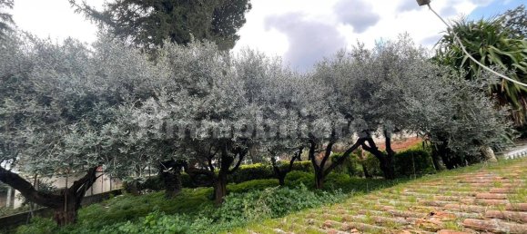 3 غرف نوم فيلا في Palestrina, Italy رقم 112483 20