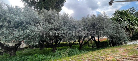 3 غرف نوم فيلا في Palestrina, Italy رقم 112483 39