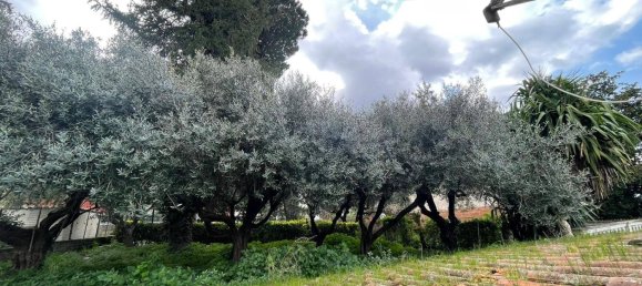 3 غرف نوم فيلا في Palestrina, Italy رقم 112483 38