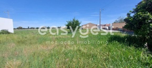 2 bedrooms House in Ferreira do Alentejo, Portugal No. 58245 13