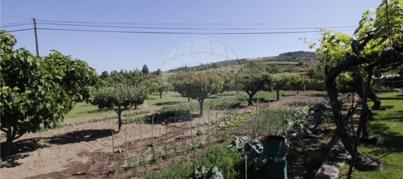 5 bedrooms House in Chaves, Portugal No. 183921 11