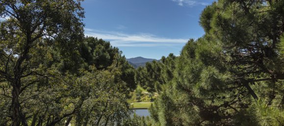 8 bedrooms Villa in Malaga, Spain No. 24253 23