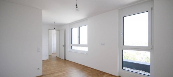 2-Zimmer Doppelhaus in Liesing, Austria, Nr. 184238 21