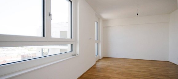 2-Zimmer Doppelhaus in Liesing, Austria, Nr. 184238 19