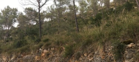  قطعة أرض في Olivella, Spain 805متر مربع رقم 163636 3