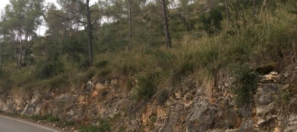  قطعة أرض في Olivella, Spain 805متر مربع رقم 163636 4