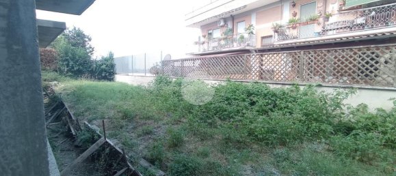 5 rooms Villa in Rome, Italy No. 24342 11