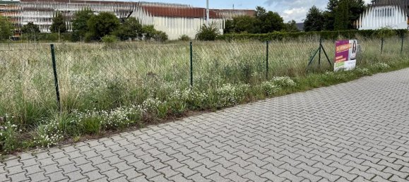 Terreno en Wittenberg, Germany No. 279613 4