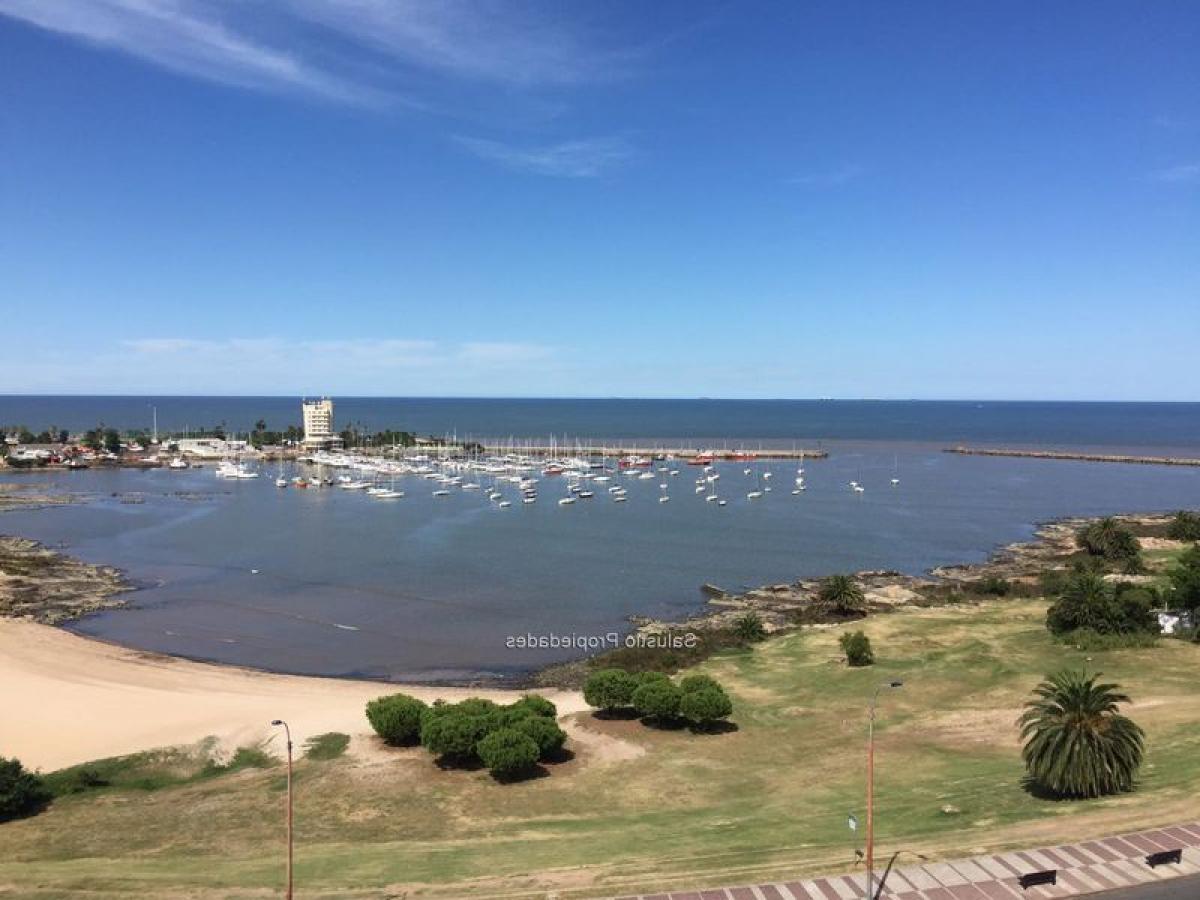 3 bedrooms Apartment in Montevideo, Uruguay No. 4461