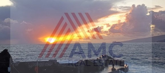 4 Schlafzimmer Haus in Madalena, Portugal, Nr. 336191 41