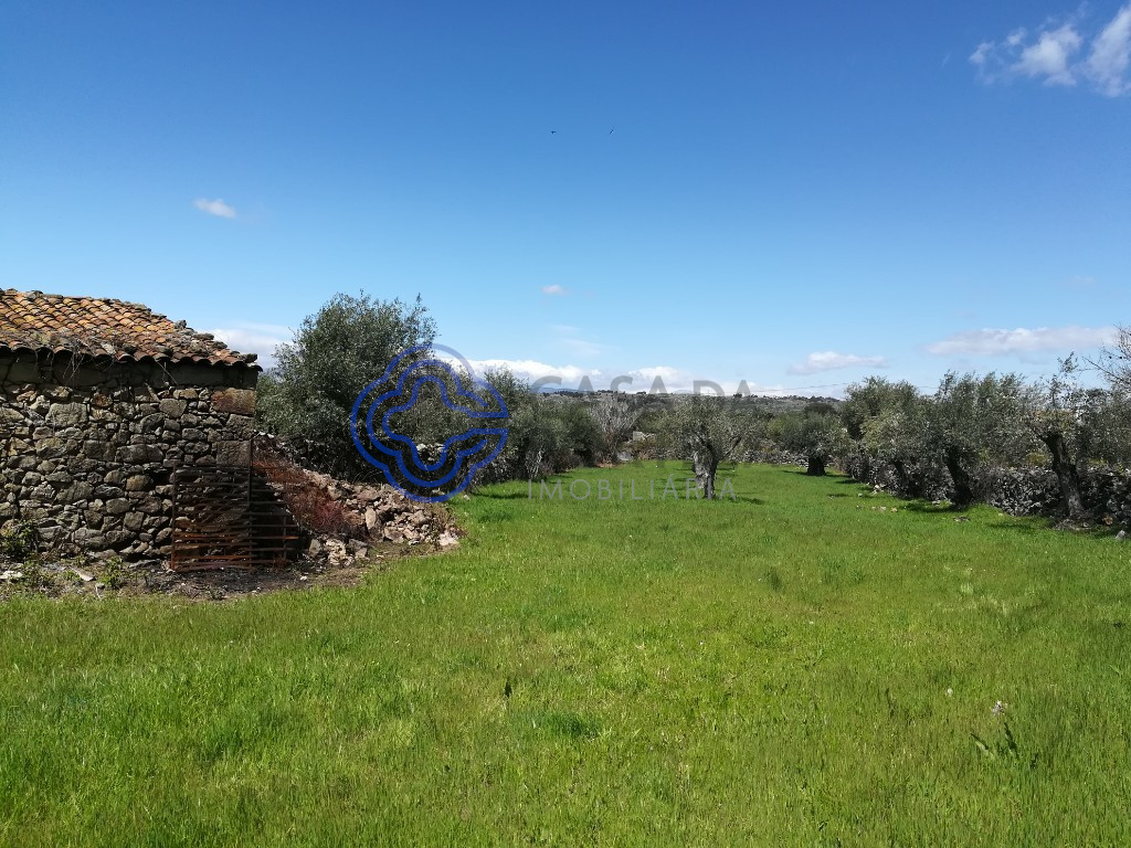 5 Schlafzimmer Gebäude in Oledo, Portugal, Nr. 74656