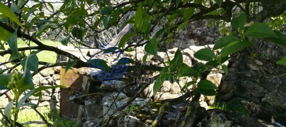 5 Schlafzimmer Gebäude in Oledo, Portugal, Nr. 74656 6