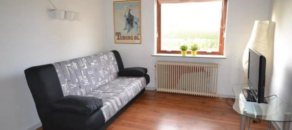 4 غرف نوم فيلا في Flensburg, Germany رقم 296119 19