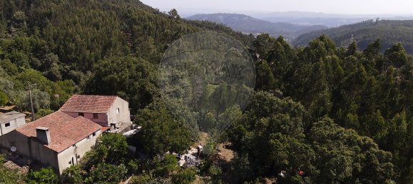 3 Schlafzimmer Haus in Alvaiazere, Portugal, Nr. 20718 17