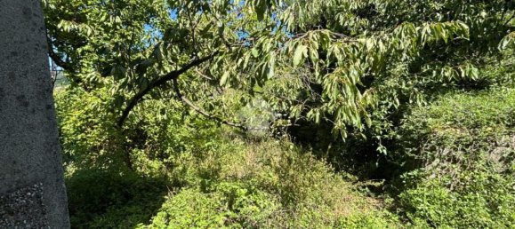 9 rooms Villa in Sant'Olcese, Italy No. 259975 37