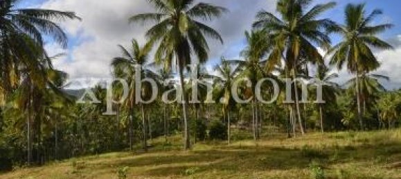 Grundstück in West Nusa Tenggara, Indonesia 21700m², Nr. 4146 6