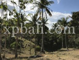 Grundstück in West Nusa Tenggara, Indonesia 21700m², Nr. 4146