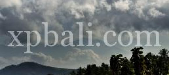 Grundstück in West Nusa Tenggara, Indonesia 21700m², Nr. 4146 2