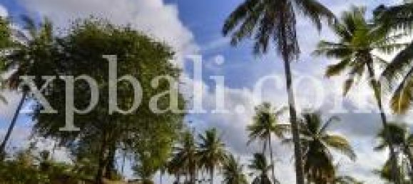 Grundstück in West Nusa Tenggara, Indonesia 21700m², Nr. 4146 3