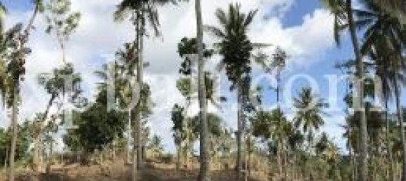 Grundstück in West Nusa Tenggara, Indonesia 21700m², Nr. 4146 5