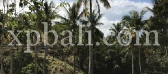 Grundstück in West Nusa Tenggara, Indonesia 21700m², Nr. 4146 7