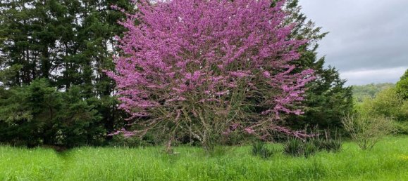 4 bedrooms House in Charente, France No. 321821 13