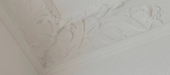 Estudio en Plauen, Germany No. 269381 6