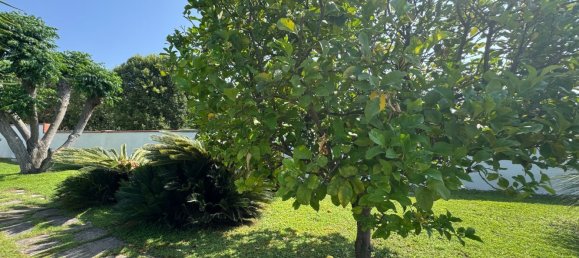 6 chambres Villa à Terracina, Italy No. 354943 50