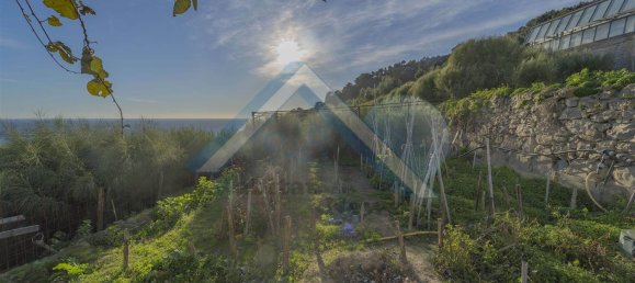 12-salle Villa à Bordighera, Italy No. 146869 6