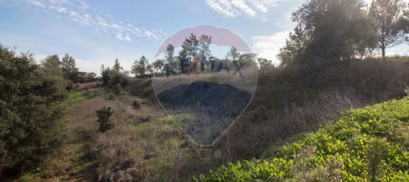 Terrain à Alenquer, Portugal 195m² No. 95763 18