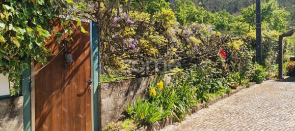 5 غرف نوم منزل في Oliveira de Frades, Portugal رقم 49386 14