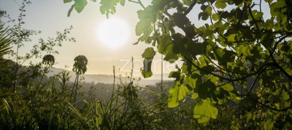 5 غرف نوم منزل في Oliveira de Frades, Portugal رقم 49386 49