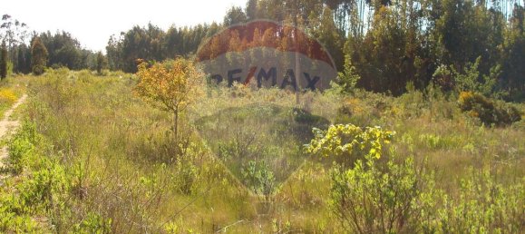 Grundstück in Aveiro, Portugal 10245m², Nr. 64368 7