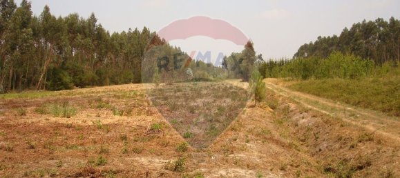 Grundstück in Aveiro, Portugal 10245m², Nr. 64368 4