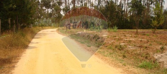 Grundstück in Aveiro, Portugal 10245m², Nr. 64368 5