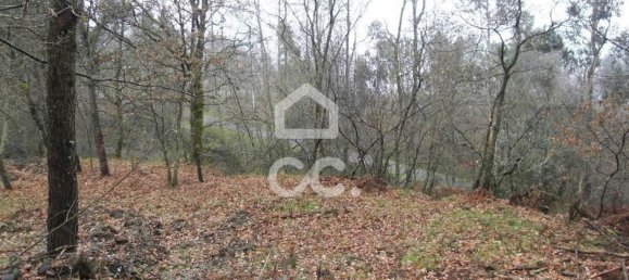 35300m² Land in Infantas, Portugal No. 149047 9